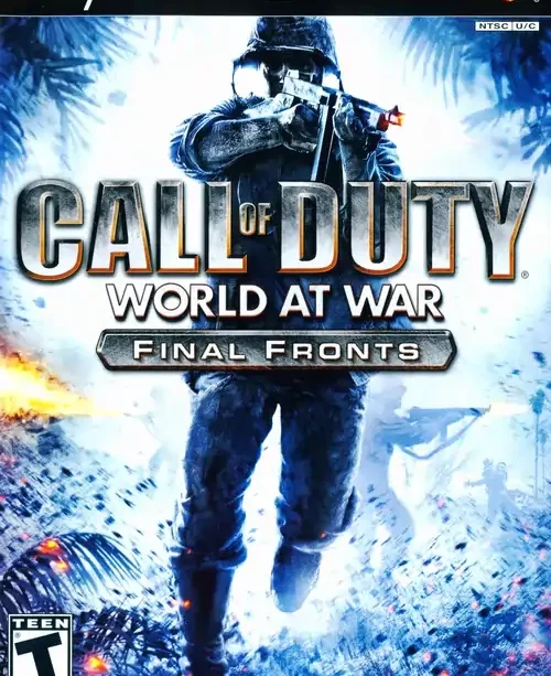 COD PS2 COVER