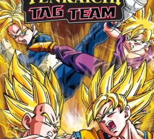 Dragon Ball Z – Tenkaichi Tag Team