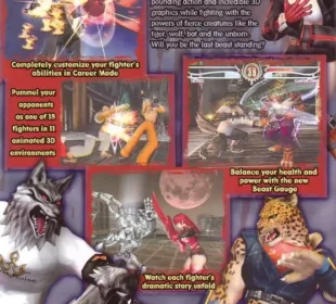 Bloody Roar 4