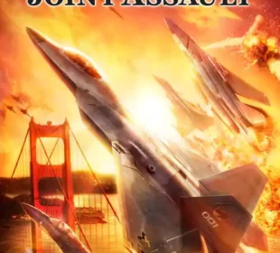 Ace Combat – Joint Assault