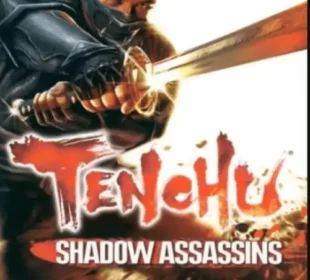 Tenchu – Shadow Assassins
