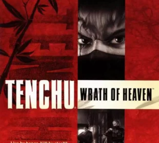 Tenchu: Wrath of Heaven
