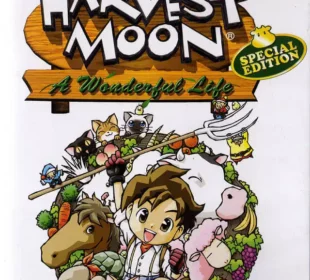 Harvest Moon: A Wonderful Life Special Edition